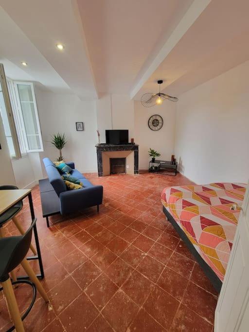 Appartement De Charme Avec Tomettes Et Parquet Graulhet Екстериор снимка