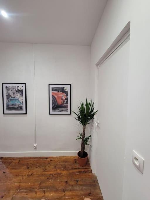 Appartement De Charme Avec Tomettes Et Parquet Graulhet Екстериор снимка